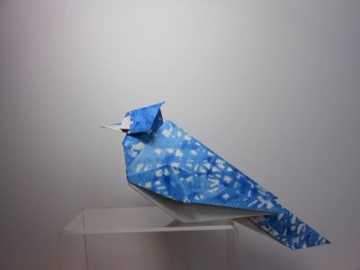 Geai bleu de Prusse, ajouré
