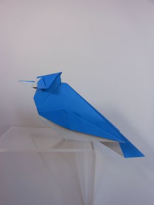 Geai bleu papier kami
