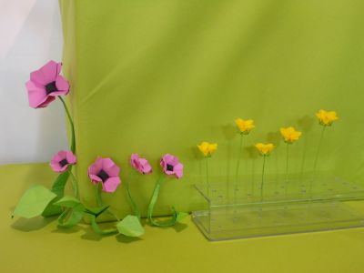 Anémones et boutons d'or de Viviane Berty.
