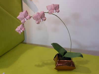 Orchidée de Viviane Berty. 
