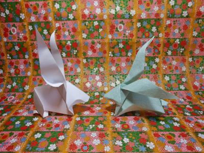 Lapin aux longues oreilles 2017
