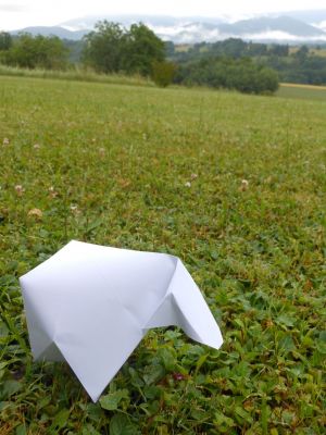 Mouton 2015
