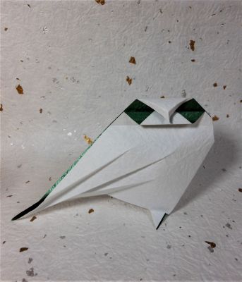 Oiseau des neiges

