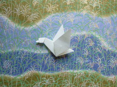 Oiseau migrateur
