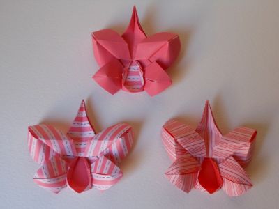 Brouillon d'orchidée (décembre 2012)
