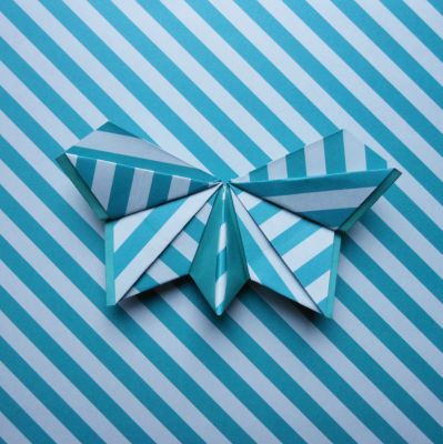 Papillon aplati plissé
