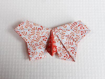 Papillon aplati plissé
