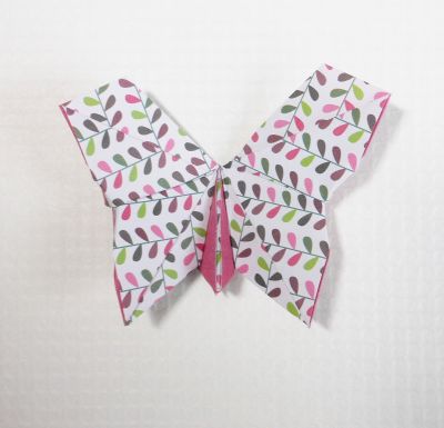 Papillon aplati plissé
