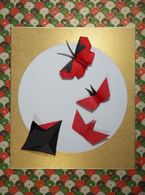 Papillon de Tabiano 2013

