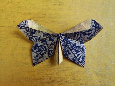 Papillon aplati plissé
