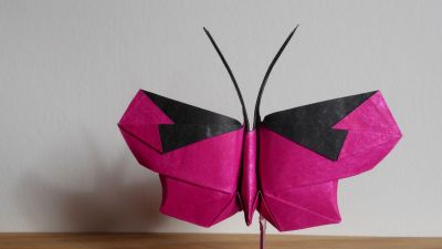 Papillon_moyen~0.JPG