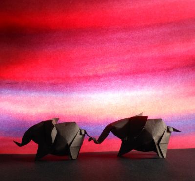 Promenade des éléphants dans la nuit
