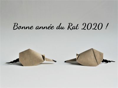 Rat_2020_-_Copie.JPG