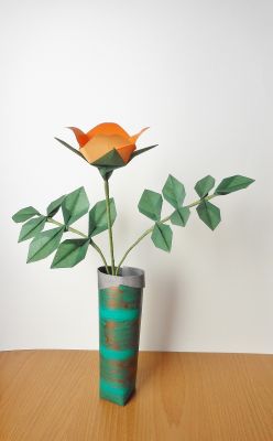 Rosa_canina_-_Copie.JPG