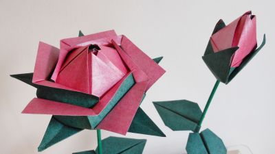 Rose_naturelle-copie.JPG