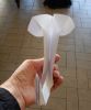 14-Tete_d_elephant.JPG