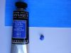 Nom du fichier=3_bleus.JPG
Taille du fichier=270Ko
Dimensions : 2048x1536
Ajouté le : 21 Mars 2016 3_bleus.JPG