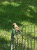 Nom du fichier=Adresse_central_park.jpg
Taille du fichier=425Ko
Dimensions : 1536x2048
Ajouté le : 09 Juillet 2018 Adresse_central_park.jpg