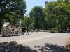 Central_Park_caleche_2.jpg