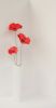Coquelicot_vase.JPG