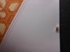 Nom du fichier=DSCN8395.JPG
Taille du fichier=747Ko
Dimensions : 2048x1536
Ajouté le : 19 Décembre 2016 DSCN8395.JPG
