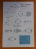 Nom du fichier=DSCN8910_-_Copie.JPG
Taille du fichier=389Ko
Dimensions : 972x1296
Ajouté le : 15 Janvier 2016 DSCN8910_-_Copie.JPG