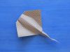Nom du fichier=DSCN9028.JPG
Taille du fichier=328Ko
Dimensions : 2048x1536
Ajouté le : 06 Octobre 2017 DSCN9028.JPG