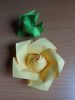 Nom du fichier=DSCN9794.JPG
Taille du fichier=288Ko
Dimensions : 1536x2048
Ajouté le : 15 Mai 2016 DSCN9794.JPG