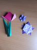 Nom du fichier=DSCN9797.JPG
Taille du fichier=368Ko
Dimensions : 1536x2048
Ajouté le : 15 Mai 2016 DSCN9797.JPG