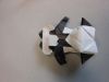 Nom du fichier=DSCN9972.JPG
Taille du fichier=229Ko
Dimensions : 2048x1536
Ajouté le : 12 Juin 2018 DSCN9972.JPG