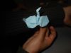 Nom du fichier=DSCN9988.JPG
Taille du fichier=161Ko
Dimensions : 2048x1536
Ajouté le : 12 Juin 2018 DSCN9988.JPG