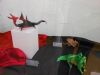 Nom du fichier=Dragons04.JPG
Taille du fichier=251Ko
Dimensions : 2048x1536
Ajouté le : 02 Mai 2015 Dragons04.JPG