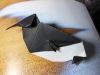 Nom du fichier=Guillemot.JPG
Taille du fichier=302Ko
Dimensions : 2048x1536
Ajouté le : 21 Mars 2016 Guillemot.JPG
