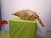 Nom du fichier=Jardin_Pangolin02.JPG
Taille du fichier=182Ko
Dimensions : 2048x1536
Ajouté le : 02 Mai 2015 Jardin_Pangolin02.JPG