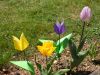 Nom du fichier=Jour_de_printemps_I.JPG
Taille du fichier=873Ko
Dimensions : 2048x1536
Ajouté le : 06 Avril 2015 Jour_de_printemps_I.JPG