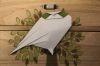 Oiseau_des_neiges_Amandine_-_Copie.JPG