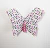 Papillon_AP_Fleurus_2.JPG