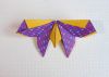 Papillon_AP_Fleurus_3.JPG