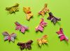 Papillon_AP_fluo_-_Copie.JPG