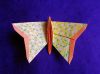 Papillon_multiforme_1bis_-_Copie.JPG