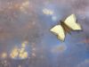 Papillon_multiforme_2bis_-_Copie.JPG