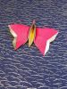 Papillon_multiforme_4_-_Copie.JPG