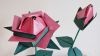 Rose_naturelle-copie.JPG