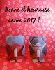 Voeux_2017.JPG
