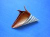 Nom du fichier=coquillage_oeil_3.JPG
Taille du fichier=325Ko
Dimensions : 2048x1536
Ajouté le : 25 Août 2018 coquillage_oeil_3.JPG
