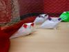 Nom du fichier=oiseau_des_neiges_2.JPG
Taille du fichier=279Ko
Dimensions : 2048x1536
Ajouté le : 17 Mai 2017 oiseau_des_neiges_2.JPG