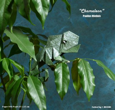Chameleon_-_Paulius_mielinis.jpg