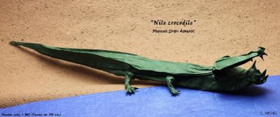 Crocodile02.jpg