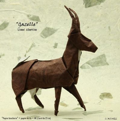 Gazelle05.jpg