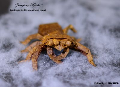 Jumping_Spider_-_Nguyen_Ngoc_Thanh.jpg